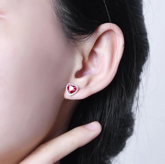 Anting-anting Fesyen Bersalut Perak 925 Sterling yang Mulia Dan Elegan